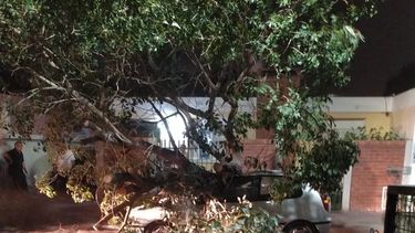 Tras el fuerte viento Sur, cesa la alerta para dos puntos de la provincia