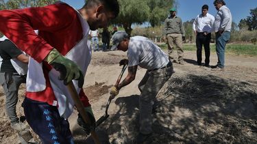 Comienza la forestación de la Escuela de Enología