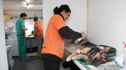 El quirófano móvil tiene cronograma para Rawson