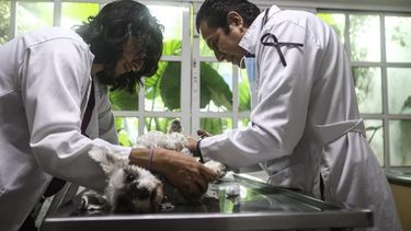 Imagen ilustrativa.&nbsp;