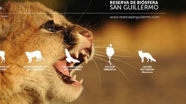 Más de 750 mil visitantes conocieron San Guillermo a través de la web