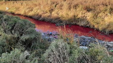 Agua roja en Dren Sarmiento - Gentileza Sarmiento al Día