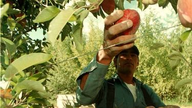 Convocatoria a productores y vecinos para cursos gratuitos