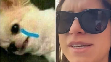 TikTok: tenía una entrevista laboral pero una inquietante pregunta la descolocó y arruinó todo