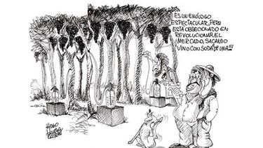 Hugo Vinzio Rosselot homenajeó a los enólogos en su día con una divertida viñeta