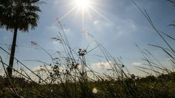 Jornada agradable, pero con una camperita cerca