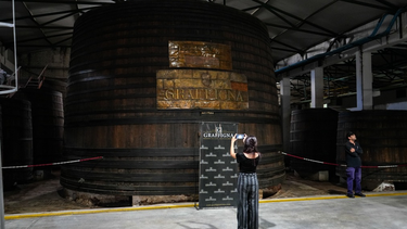 La historia detrás del tesoro mejor guardado del Museo Santiago Graffigna, único en Sudamérica