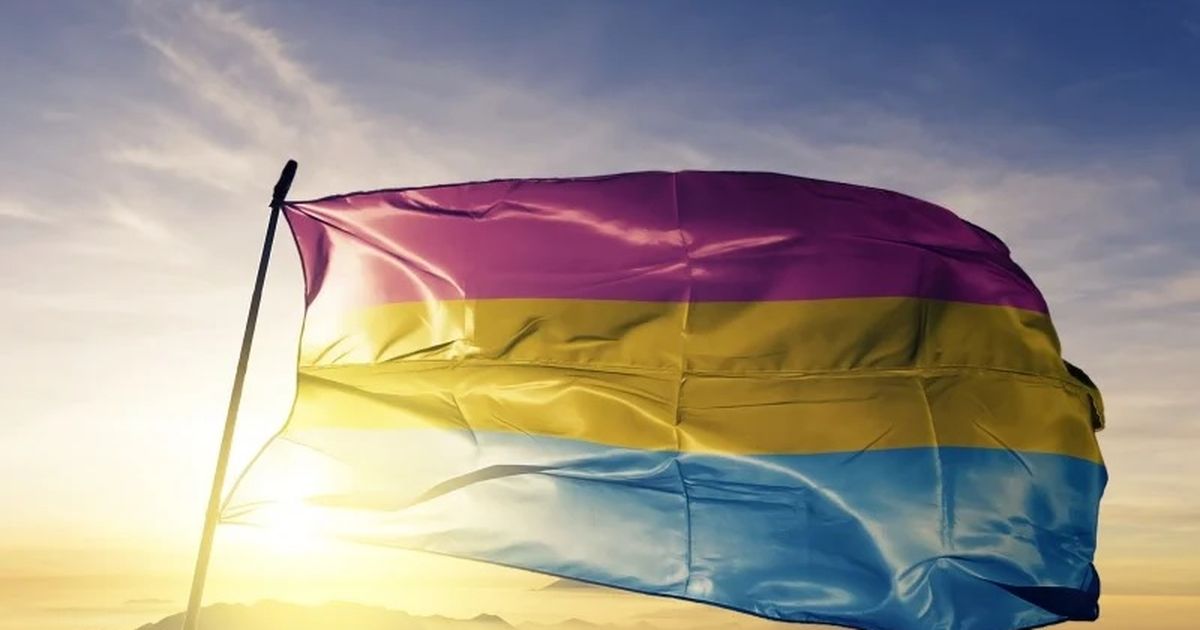 Día de la Pansexualidad qué es y en qué se diferencia de otras orientaciones