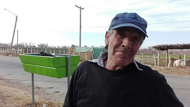 Tremendo: pocitano entró a su habitación y se encontró con un puma