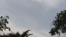 Máxima de 30º con probabilidad de tormentas toda la jornada