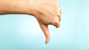 Casi el 80 % de los lectores, contra de la prohibición de regalar perros