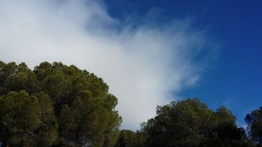 Preparáte porque viene viento fuerte este sábado a San Juan