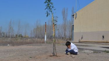 Por el Día del Árbol, Ambiente entregó forestales en dos escuelas