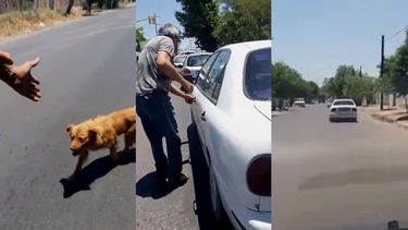 Pocitano persiguió a un hombre que abandonó a su perra en la calle