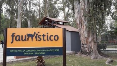 Conocé a fondo el Parque Faunístico con esta propuesta de Rivadavia: ¿de qué trata?