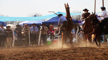 Doma, encuentro y un festival 100% gaucho en el corazón de Valle Fértil para honrar a la mujer amazona