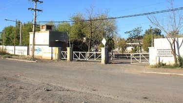 Quieren generar energía eléctrica con residuos de la poda