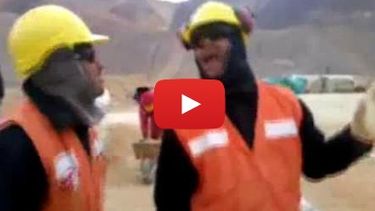Mirá el video de los mineros que se divierten con Agapornis
