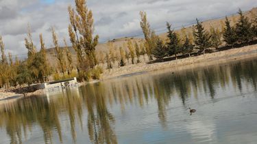 Pampas del Cura: inauguran la primera cava winebar de Iglesia