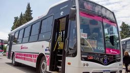 Aumentarán las frecuencias de dos líneas de la Red Tulum: el motivo