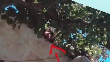 Aberrante: una sanjuanina escrachó a su vecino por espiarla y sacarle fotos