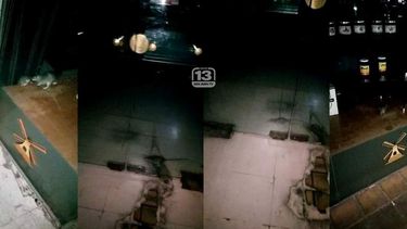 Video: desfile de ratas en la vidriera de famosísima confitería sanjuanina