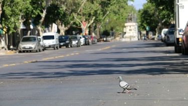 El tiempo: así estará el feriado en San Juan