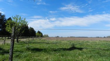 Máxima de 34º con probables lluvias hacia la tarde