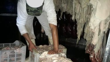 Clausuraron una importante carnicería rawsina por falta de higiene