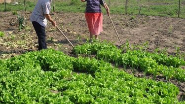 Angaco: aterriza un plan de aguas importantísimo para la agricultura