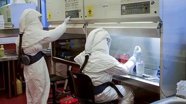 Circulación comunitaria de Ómicron en Argentina: ¿qué se sabe de las muestras que San Juan mandó al Malbrán?