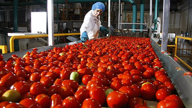 Las cuatro patas fundamentales del empleo y la preocupación por la subocupación: el panorama laboral en San Juan