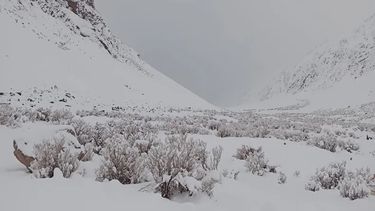 ¿Habrá más agua en San Juan? La nieve del fin de semana dejó un dato muy alentador para esta temporada