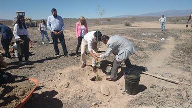 Antes de 2020 nacerá un bosque en pleno desierto iglesiano