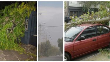 Cortes de energía, árboles caídos, incendios, autos dañados y mugre