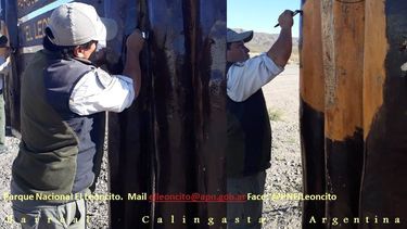 Inentendible: destrozaron los carteles del Parque El Leoncito