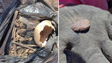 Mineros encontraron restos óseos históricos en plena cordillera