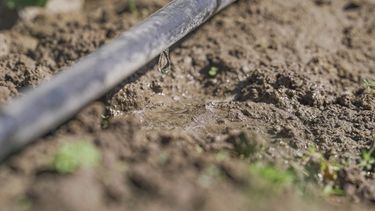 Preocupación por el bajo porcentaje de dinero recaudado para el riego en San Juan