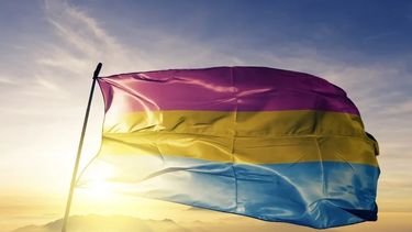La Pansexualidad celebra su día los 24 de mayo.