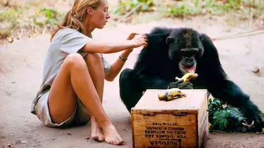 Murió Jane Goodall, la mujer que cambió la mirada del mundo sobre los chimpancés