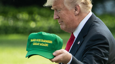 Trump lanzó un fuerte paquete de subsidios para productores agrícolas