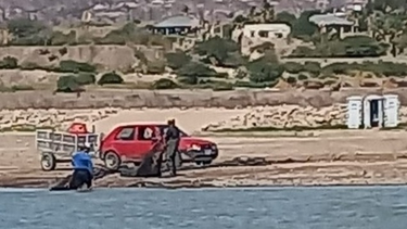 Denuncian que un grupo de personas pescaron una importante cantidad de pejerreyes en el Dique de Ullum, violando la normativa actual.