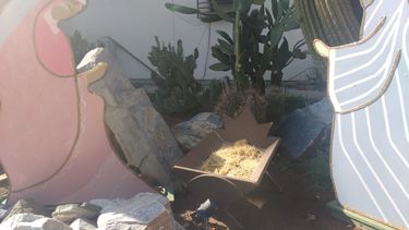 Navidad:una gran coleccionista de pesebres sale a la luz