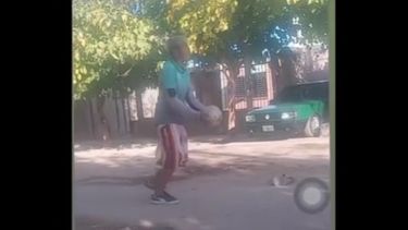 Indignación por un joven sanjuanino que pateó brutalmente a un pequeño gatito