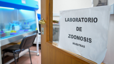 Aunque en San Juan nunca se ha registrado un caso de hantavirus, el área de Zoonosis de la provincia sigue de cerca la situación y se mantiene en alerta.