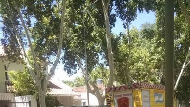 Volvieron los vándalos: otra vez quemaron contenedores de basura