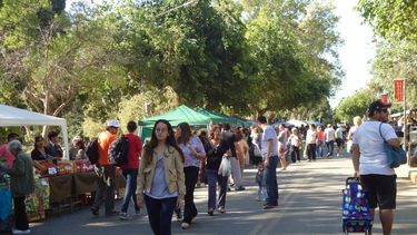 Un domingo agradable abrirá una semana bien otoñal