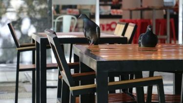 Así trabajará el comercio para los feriados de Carnaval