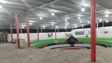 Un grupo armado atacó en una riña de gallos y murieron 12 personas