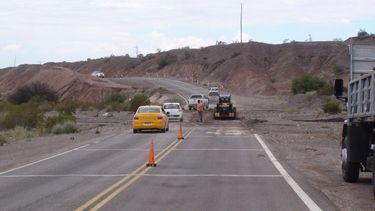 Precaución por la RN40 entre Villicum y Tucunuco
